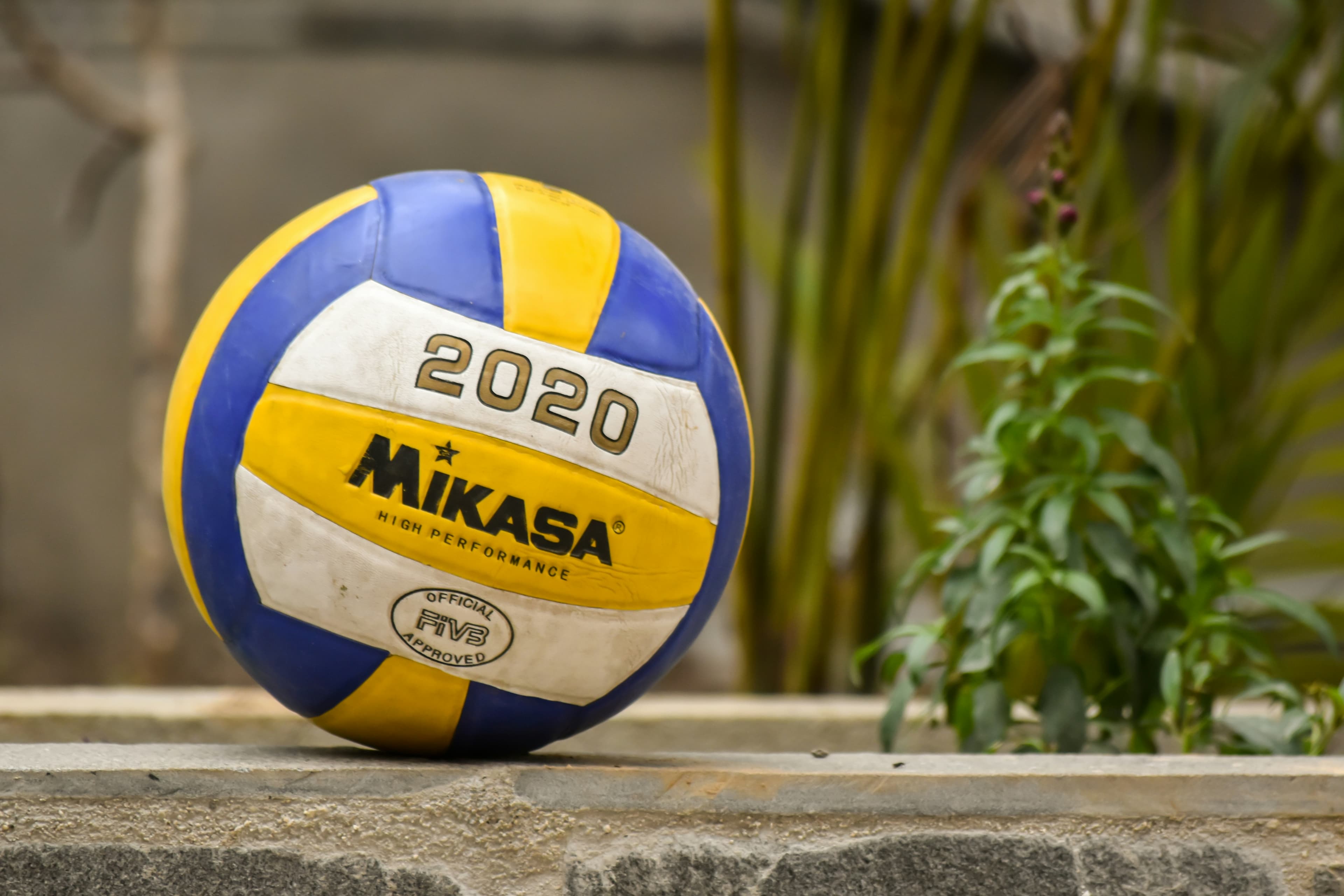 Volleyball